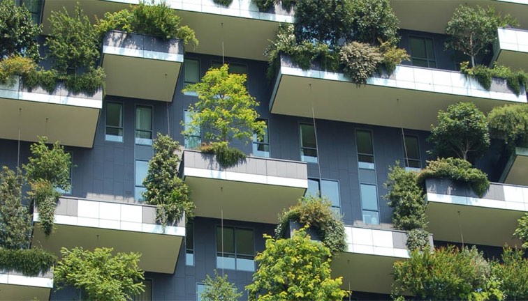 Balconies with greenery