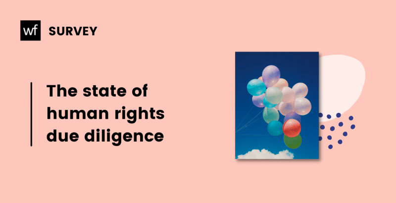 the state of human rights due diligence survey