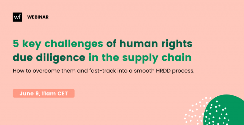 5 key challenges of human rights due diligence in the supply chain
