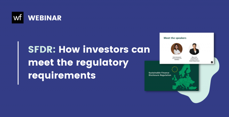 SFDR - How investors can meet the regulatory requirements