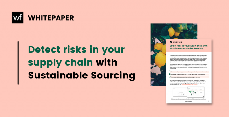 detect risks in your supply chain with sustainable sourcing